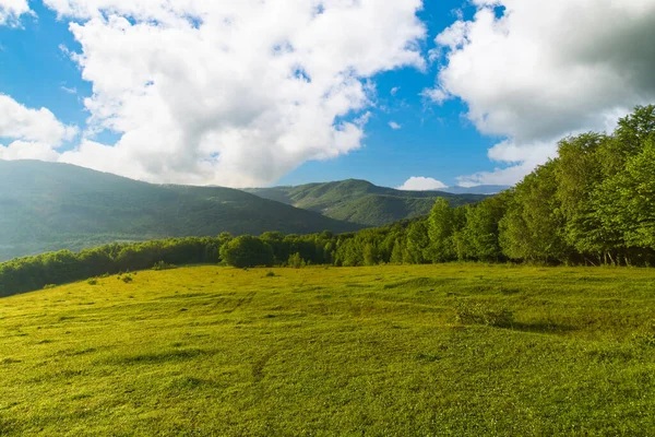 stock image green and blue landscape of mountains. grassy meadow and forests. morning in Transcarpathia. sky with clouds. natural background.