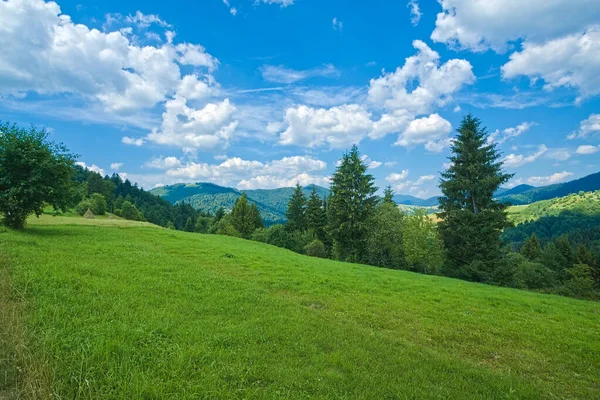 Ağaçların ve ormanın yakınındaki yeşil otlarla kaplı bir tarla. Dağlık bir arka planda. Bulutlu mavi gökyüzü. Yazın Karpatlar