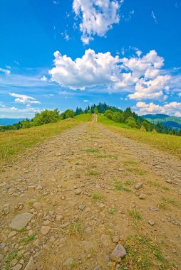 Dağ sırtı boyunca ormana giden eski bir yol. Beyaz bulutlu mavi gökyüzü. Dikey fotoğraf.