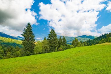 Otlarla ve ormanlarla kaplı güzel bir tarla, dağın arkasındaki tepelerle ve ahır ile kaplı gökyüzüyle. peyzaj arka planı.