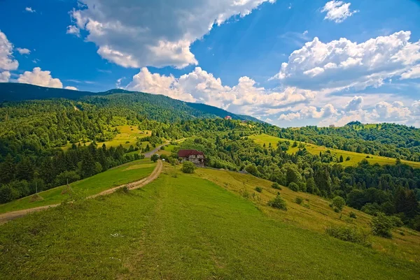 Background Nature Carpathians Mountain Landscape Bright Sunny Day Beech Forest — Zdjęcie stockowe