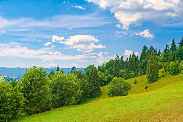 Background Nature Carpathians Mountain Landscape Bright Sunny Day Beech Forest — 图库照片