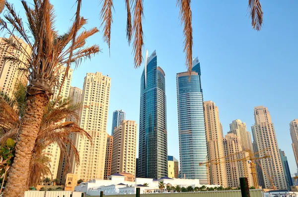 Les gratte-ciel de Dubaï sous le palmier . — Photo