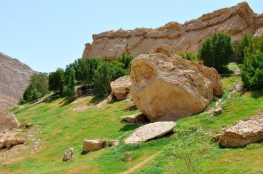 Yeşil Arapça çöl, dubai, Birleşik Arap Emirlikleri.