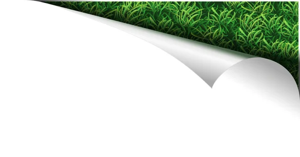 Vitboken sida med färskt grönt gräs i curl — Stock vektor