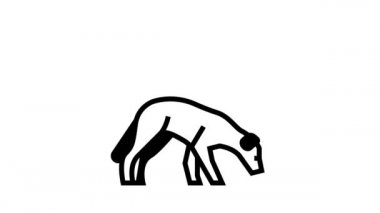 Zalim Özgür Hayvanlar siyah çizgi animasyonu