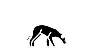 beat dogs glyph simge animasyonunu durdur