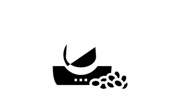 Gato comida seca glifo icono de animación — Vídeo de stock