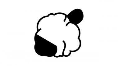 bez banyo aksesuar çizgisi canlandırması