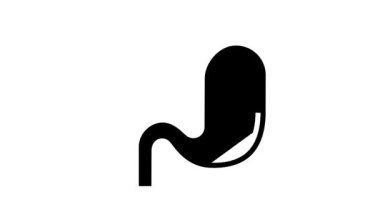 Gastrointestinal kanal glyph simge canlandırması
