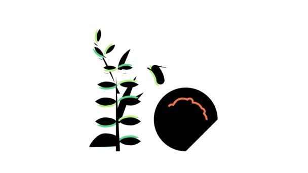 Анимация иконок чечевицы — стоковое видео
