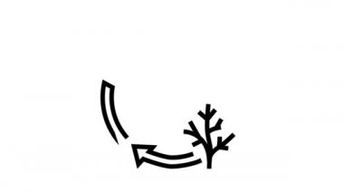 yaşam döngüsü çizgi canlandırması