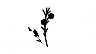 Flax groat glyph simge canlandırması