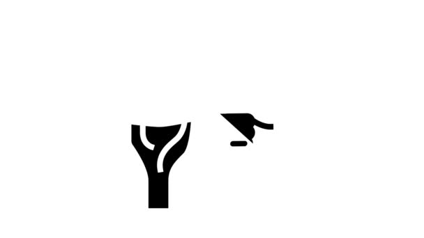 Animacja ikony glifowej stawu kolanowego — Wideo stockowe