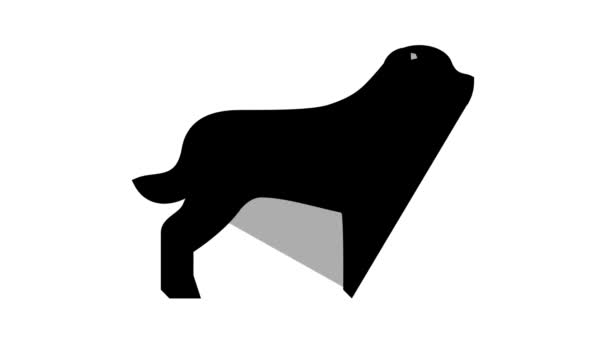 Animación icono de color perro rottweiler — Vídeo de stock