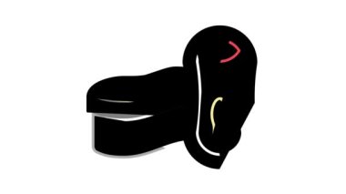 sünger ayakkabı bakımı renk canlandırması