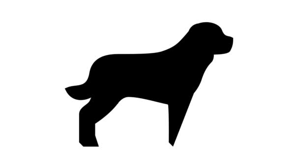 Rottweiler dog line icon animation — Stock Video