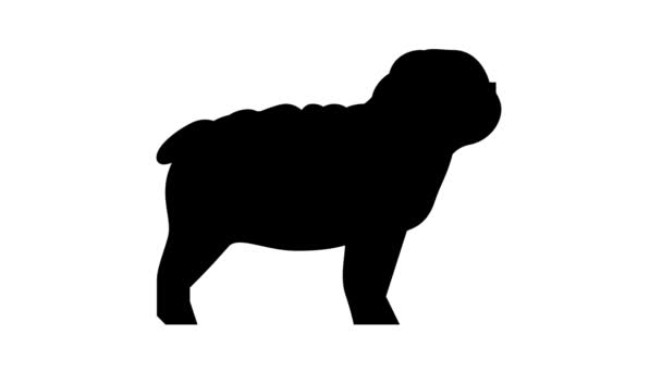 Bulldog perro línea icono animación — Vídeos de Stock