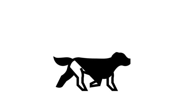 Dog chasing cat line icon animation — Stock Video