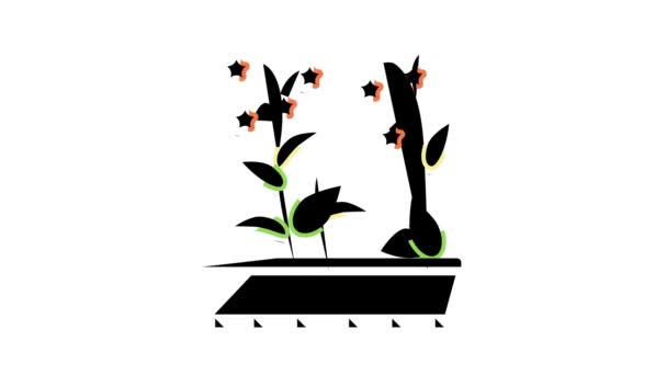 Blumen im Garten Farb-Icon-Animation — Stockvideo