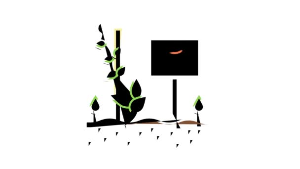 Plant met naamplaatje kleur pictogram animatie — Stockvideo