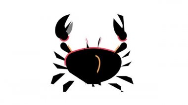 yengeç okyanusu renk canlandırması