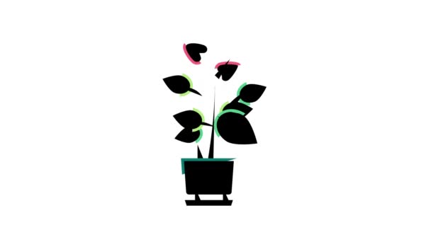 Keramika květina dům barva ikona animace — Stock video