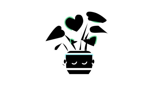 Green leaves house plant color icon animation — Stock Video