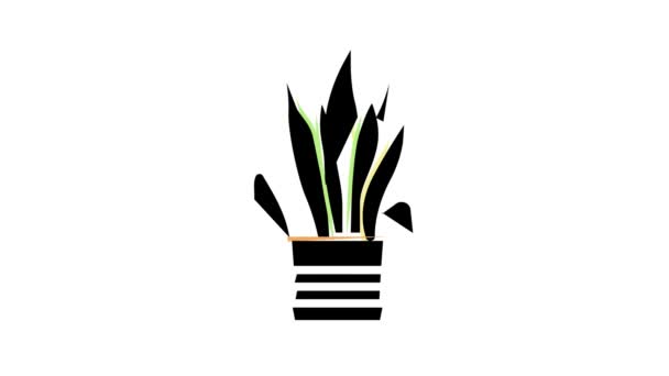 Drogen huis plant kleur pictogram animatie — Stockvideo