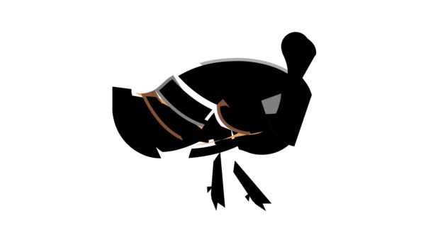 Kalkon fågel färg ikon animation — Stockvideo