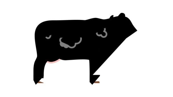 Vaca animal doméstico color icono de animación — Vídeos de Stock