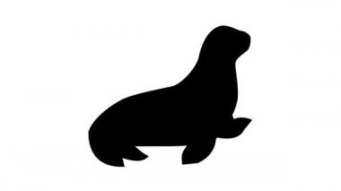 deniz aslanı çizgi simgesi canlandırması