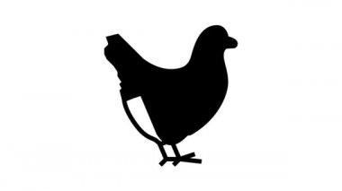 tavuk yerli kuş çizgisi simgesi canlandırması