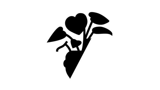 Zielony liście dom roślin linia ikona animacja — Wideo stockowe