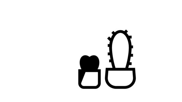 Animace ikon kaktusového domu — Stock video