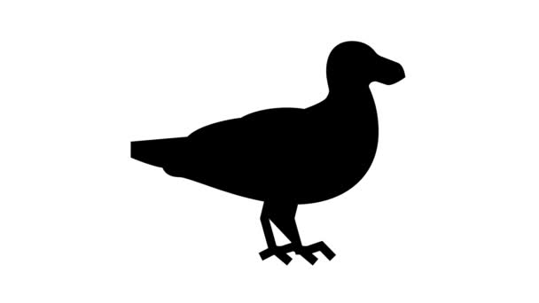 Vogel Ozean Linie Symbol Animation — Stockvideo
