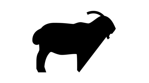 Goat domestic animal line icon animation — Stock Video