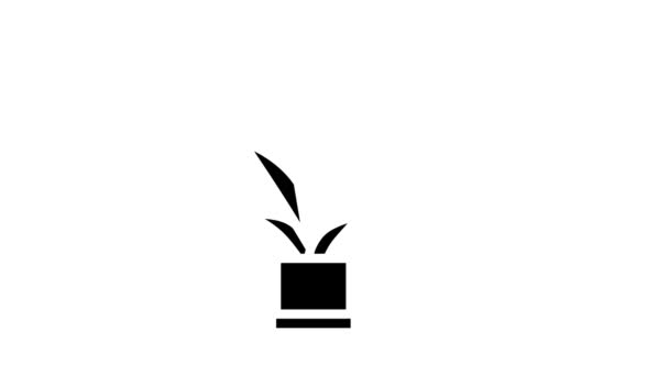 Blomma i potten glyf ikon animation — Stockvideo