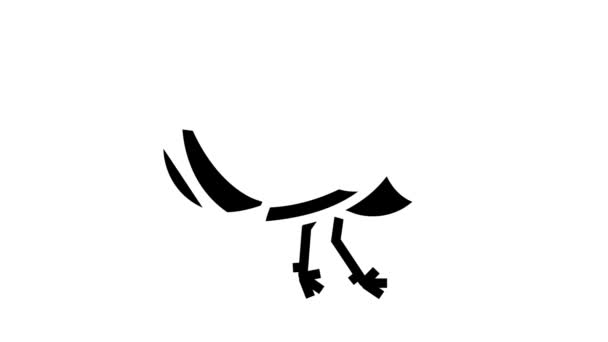 Γαλοπούλα πουλί glyph εικονίδιο animation — Αρχείο Βίντεο