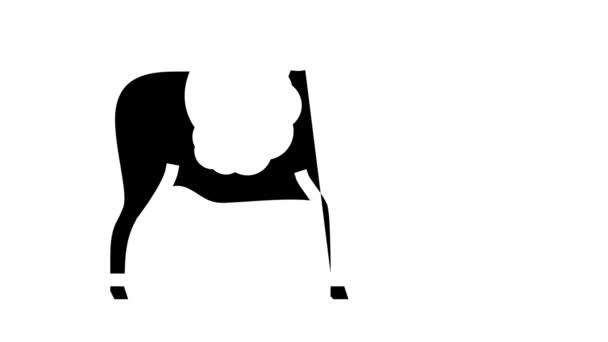 Kuh Haustier Glyphen-Symbol Animation — Stockvideo