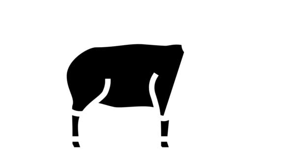 Mouton animal domestique glyphe icône animation — Video