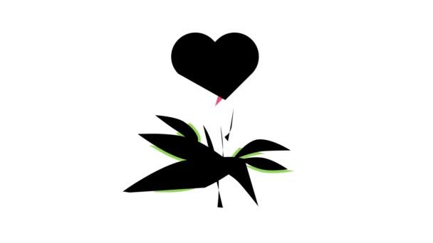 Натуральное растение для анимации иконок фитотерапии сердцебиения — стоковое видео