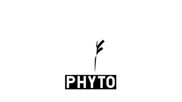 Phytothérapie naturelle glyphe icône animation — Video