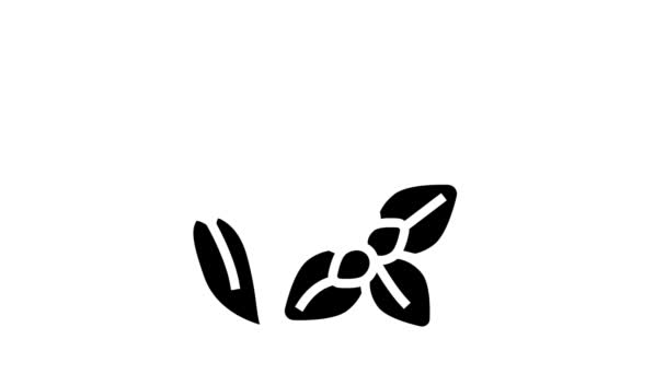 Blumen Phytotherapie Glyphen-Symbol Animation — Stockvideo