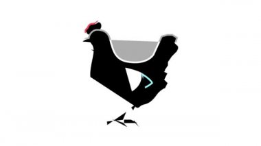 tavuk kuşu rengi simge canlandırması