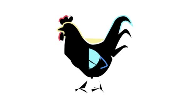 Hahn Hausvogel Farbe Symbol Animation — Stockvideo