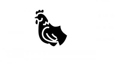 cock homebird line simgesi canlandırması