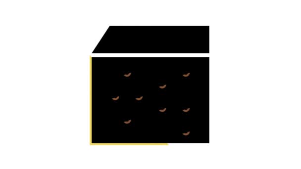 Bingo ícone de cor do jogo animação — Vídeo de Stock