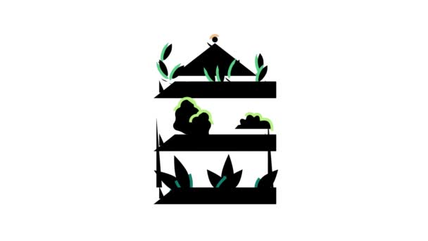 Potted domestic plant color icon animation — Stock Video