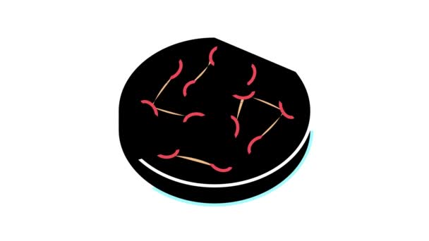 Bakteria corynebacterium diphtheriae barevná ikona animace — Stock video
